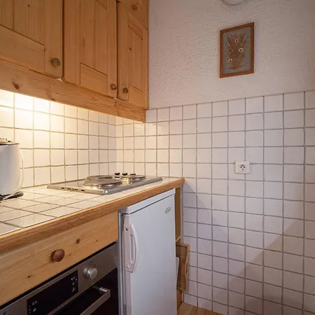 Duplex 3 Pieces, Acces Pistes, Wifi, Animaux Acceptes - Fr-1-356-281